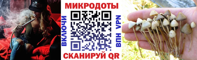 Галлюциногенные грибы мицелий  наркота  Скопин 